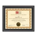 Copley Certificate Frame