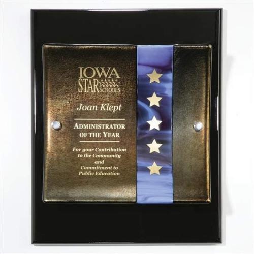 Awards and Trophies - Plaque Awards - Glass Plaques - Curved Plaque