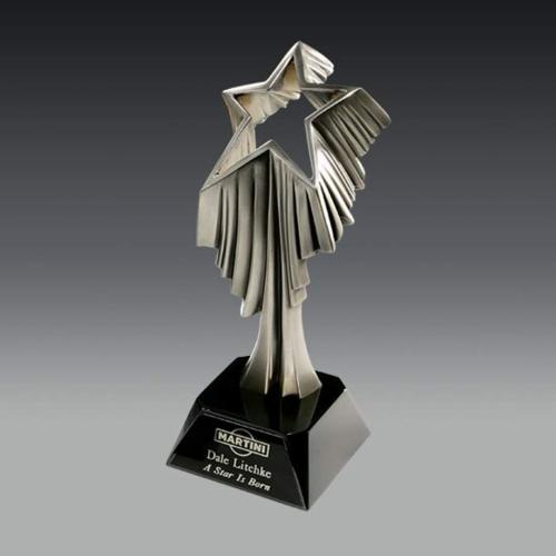 Awards and Trophies - Aurora Star Metal Award