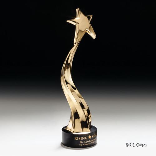 Awards and Trophies - Zenith Shooting Star Metal Award
