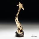 Zenith Shooting Star Metal Award
