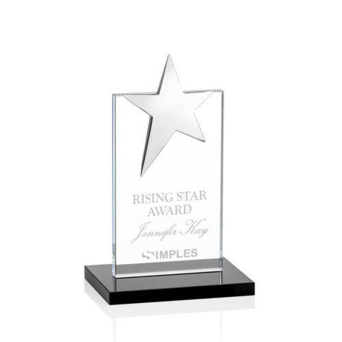 Awards and Trophies - Bryanston Black Star Crystal Award