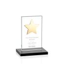 Dallas Star Black/Gold Rectangle Crystal Award