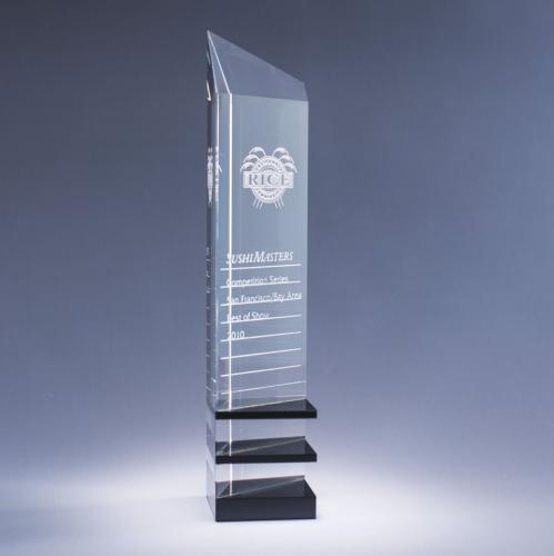 Awards and Trophies - Crystal Awards - Innovator