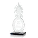 Tropicana Pineapple Unique Crystal Award