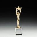 Star Achievement Star on Optical Metal Award