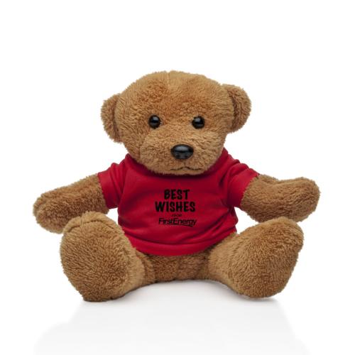 Promotional Productions - Novelty - Teddy Bears - Theo the Teddy Bear - 6