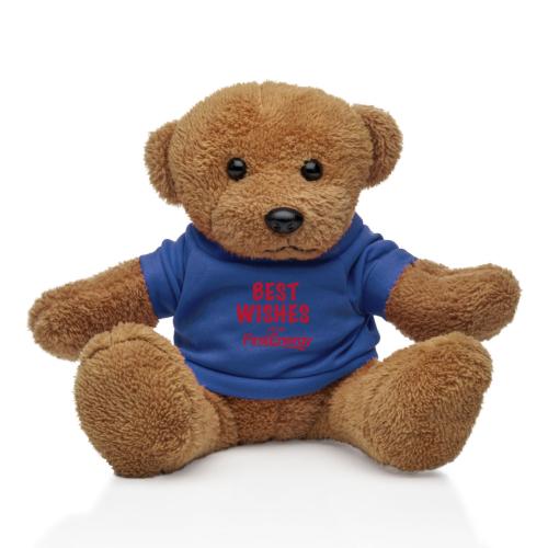 Promotional Productions - Novelty - Teddy Bears - Theo the Teddy Bear - 8.5