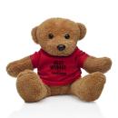 Theo the Teddy Bear - 8.5" (T-Shirt)